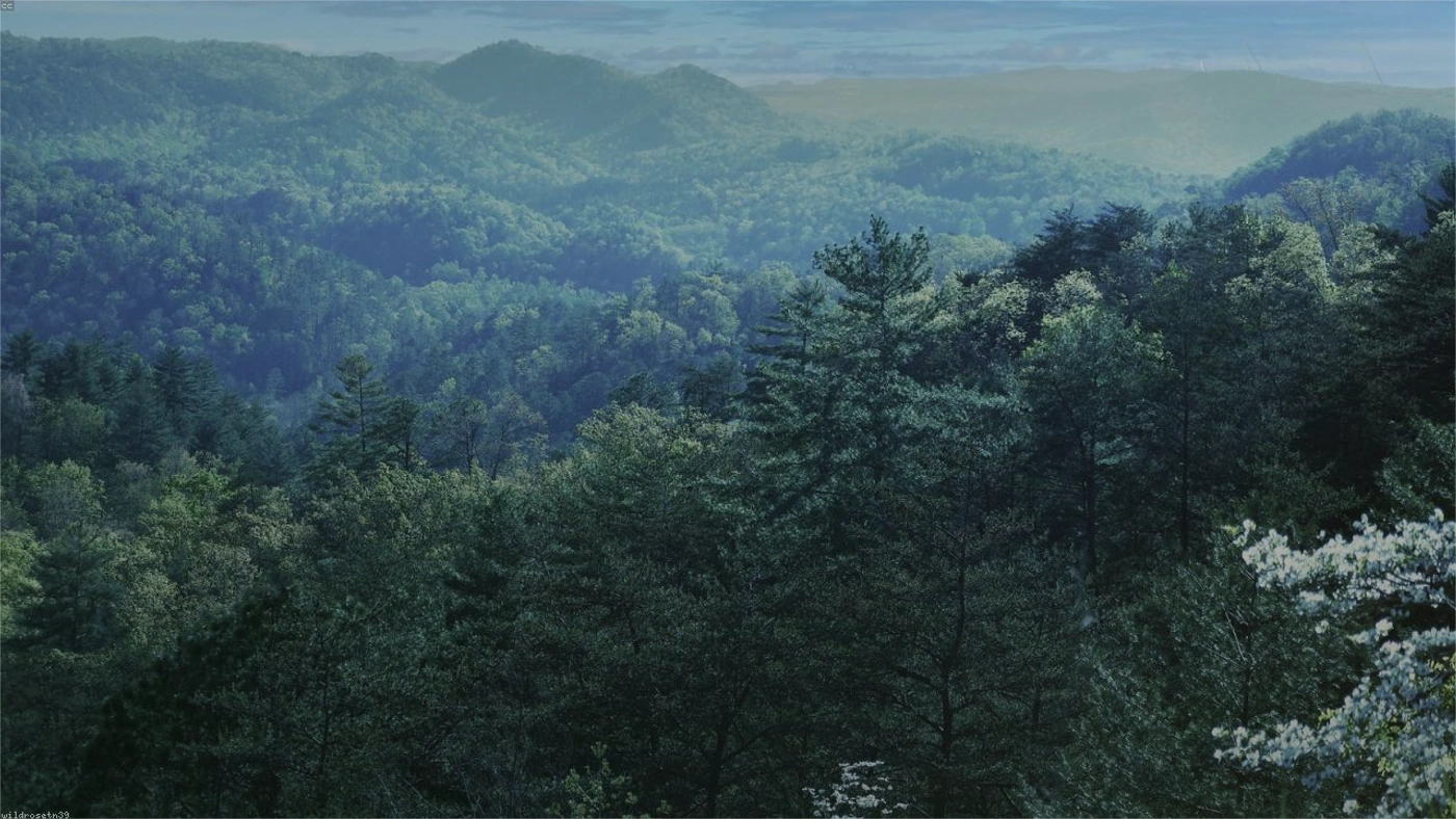 How to Sell Inherited Land in Tennessee Tennessee land guide