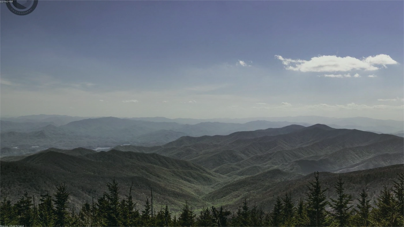 How to Sell Land Fast in Tennessee Tennessee land guide