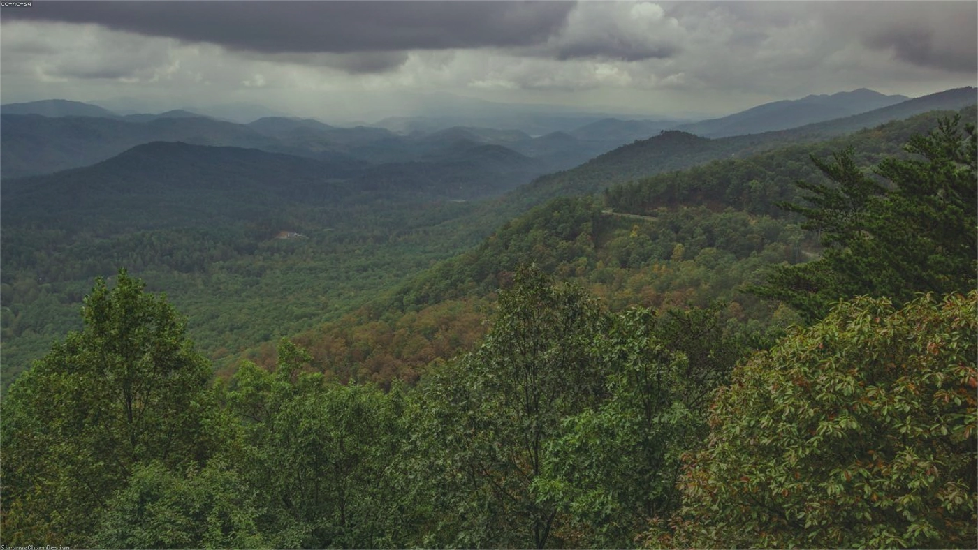 Selling Land to a Developer in Tennessee Tennessee land guide