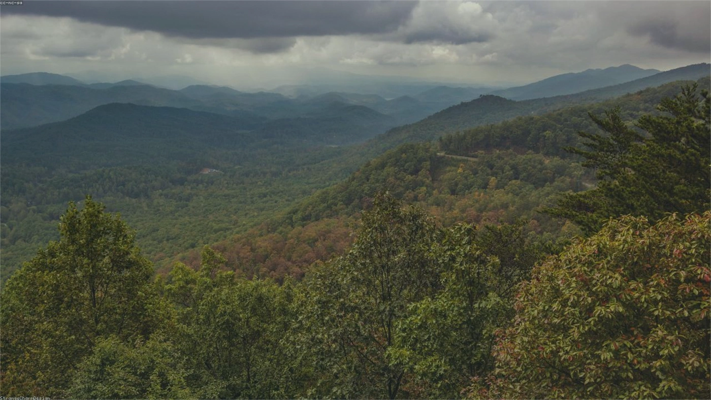 Tennessee Land Buyer Options: How to Compare Cash Offers Tennessee land guide