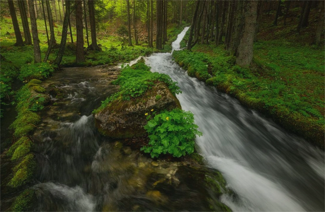 Family and closing office reviewing inherited Tennessee land sale documents