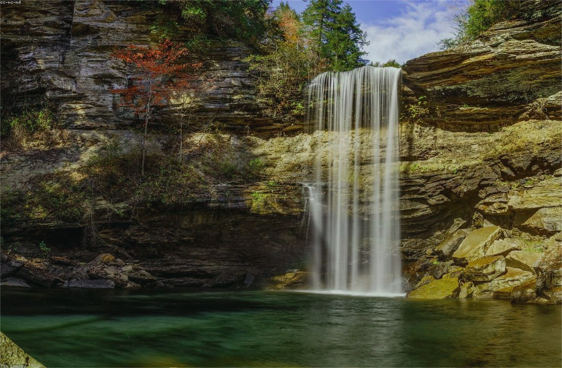 Tennessee land sale options and buyer review for How to Sell Land Fast in Tennessee