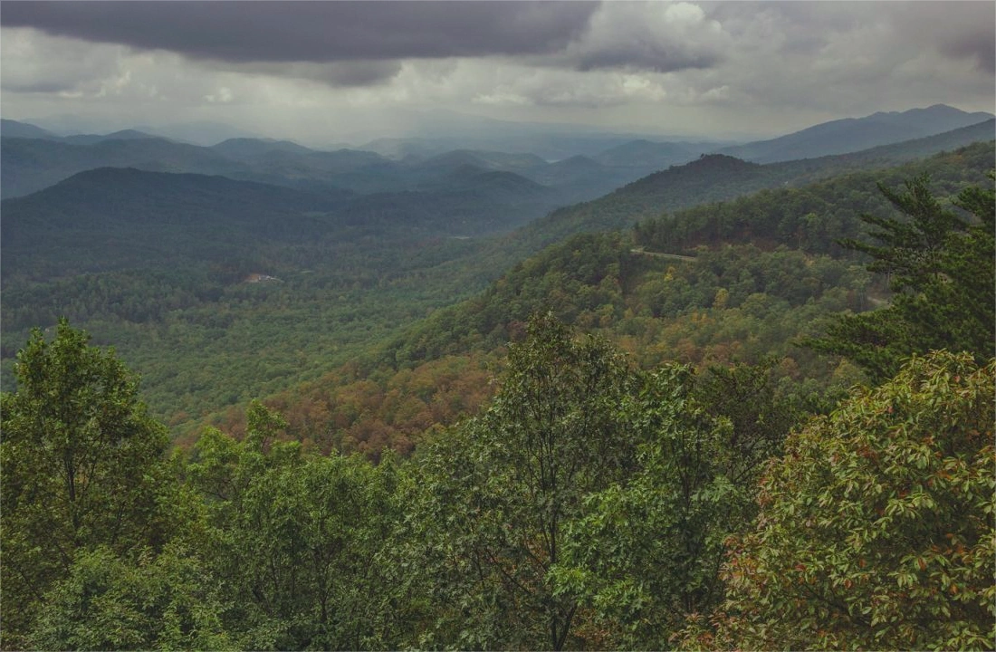 Tennessee land sale options and buyer review for How to Sell Land Online in Tennessee