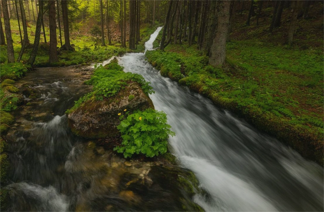 Tennessee land records and parcel facts for How to Sell Land Without Clear Title in Tennessee