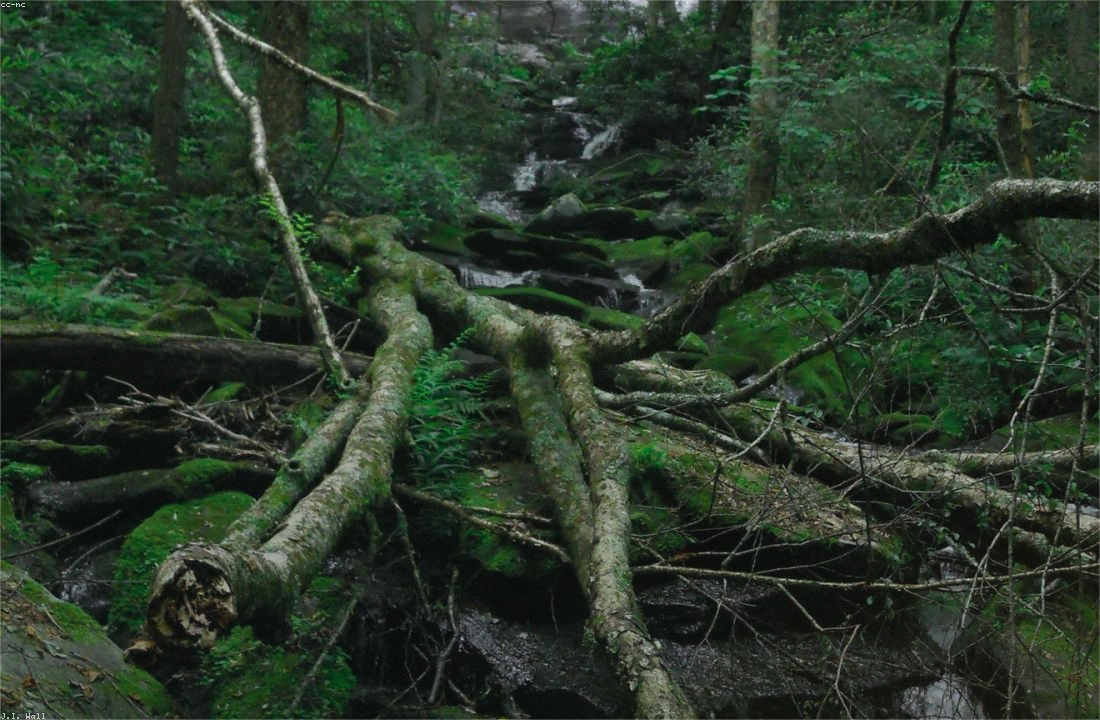 Tennessee land records and parcel facts for Legal Documents for Selling Land in Tennessee