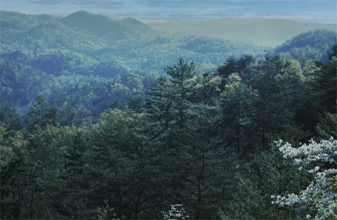 Tennessee land sale options and buyer review for Selling Land to a Developer in Tennessee