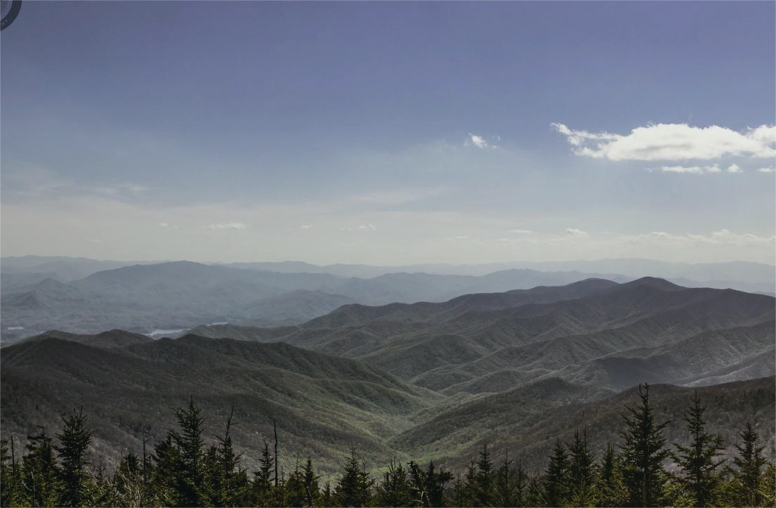 Tennessee land sale options and buyer review for Tax on Selling Land in Tennessee